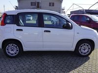 usata Fiat Panda New1.2 Easy Van Autocarro 4 posti Euro 6D