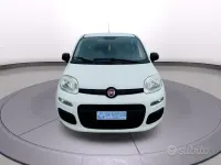Usata Fiat Panda 69 CV (50 kW) 2018 Bianco Utilitaria