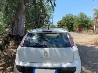 Usata Fiat Punto Evo 75 CV (55 kW) 2010 Bianco Utilitaria