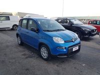 usata Fiat Panda Panda My24 1.0 70cv Hybrid