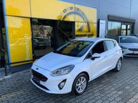 usata Ford Fiesta 1.1 75 CV GPL 5 porte Titanium