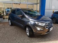 Usata Ford Ecosport Titanium 125 CV (91 kW) 2021 Grigio SUV