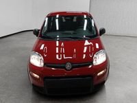 Usata Fiat Panda S 69 CV (50 kW) 2024 Rosso Utilitaria