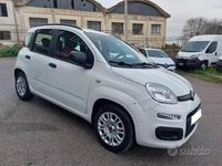 Usata Fiat Panda Easy 69 CV (50 kW) 2012 Bianco Utilitaria