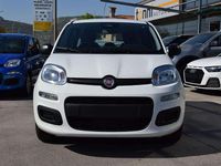 Nuova Fiat Panda Icon 65 CV (47 kW) 2026 Bianco gelato Utilitaria