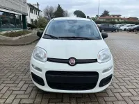 Nuova Fiat Panda Icon 69 CV (50 kW) 2025 Bianco Utilitaria