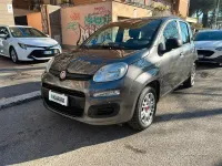 Usata Fiat Panda Easy 69 CV (50 kW) 2018 Grigio Utilitaria
