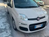 Usata Fiat Panda 69 CV (50 kW) 2016 Bianco Utilitaria