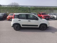 Usata Fiat Panda City Life 69 CV (50 kW) 2021 Bianco Utilitaria