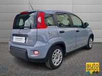 Usata Fiat Panda S 2022 Grigio scuro