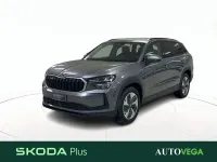 Usata Skoda Kodiaq Executive 150 CV (110 kW) 2025 Grigio pastello SUV