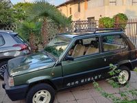 Usata Fiat Panda 4x4 50 CV (36 kW) 1988 Verde Utilitaria