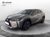 Usata Lexus UX 250h Luxury Line 184 CV (135 kW) 2019 Sonic titanium SUV