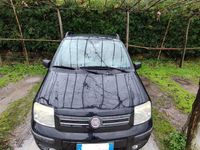 Usata Fiat Panda Dynamic 69 CV (50 kW) 2005 Nero Utilitaria