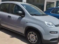 Usata Fiat Panda S 70 CV (51 kW) 2022 Grigio Utilitaria