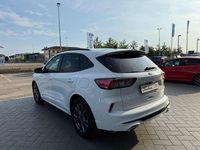 Usata Ford Kuga ST-Line 152 CV (111 kW) 2020 Bianco SUV