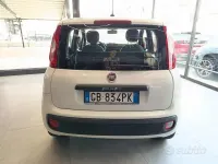 Usata Fiat Panda Lounge 69 CV (50 kW) 2020 Bianco Utilitaria