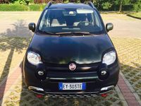Usata Fiat Panda Cross Cross 80 CV (58 kW) 2015 Utilitaria