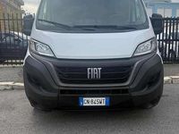 Usata Fiat Ducato 140 CV (102 kW) 2023 Bianco Furgone