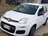Usata Fiat Panda Easy 95 CV (69 kW) 2017 Bianco Utilitaria