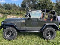 Usata Jeep Wrangler 121 CV (88 kW) 1993 Verde SUV