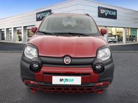 Usata Fiat Panda Cross Cross 69 CV (50 kW) 2024 Rosso Utilitaria
