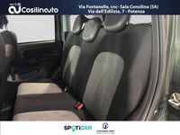 Usata Fiat Panda Cross Cross 85 CV (62 kW) 2019 Verde Utilitaria