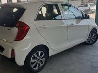 usata Kia Picanto 1.0 12V EcoGPL 5 porte Active Collection