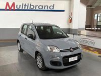 Usata Fiat Panda Easy 69 CV (50 kW) 2020 Grigio Utilitaria