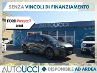 Usata Ford Kuga ST-Line 150 CV (110 kW) 2023 Magnetic grey SUV