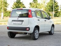 usata Fiat Panda benzina e metano