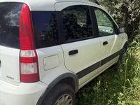 Usata Fiat Panda 4x4 69 CV (50 kW) 2006 Bianco Utilitaria