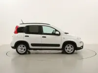 Usata Fiat Panda City Life 70 CV (51 kW) 2023 Biancobianco Utilitaria