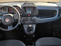 Usata Fiat Panda City Life 70 CV (51 kW) 2023 Grigio Utilitaria