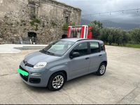 Usata Fiat Panda 75 CV (55 kW) 2019 Grigio Utilitaria