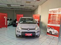 Usata Fiat Panda S 70 CV (51 kW) 2023 Grigio chiaro Utilitaria