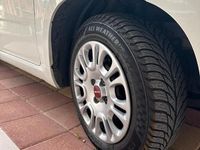 Usata Fiat Panda 2015 Bianco Utilitaria