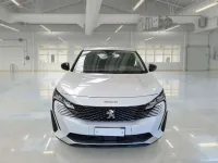 Usata Peugeot 3008 Business-Line 131 CV (96 kW) 2022 Bianco SUV