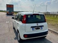 Usata Fiat Panda Easy 69 CV (50 kW) 2019 Bianco Utilitaria