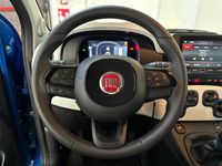 Usata Fiat Panda S 70 CV (51 kW) 2024 Blu/azzurro Utilitaria