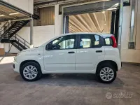 Usata Fiat Panda Easy 85 CV (62 kW) 2020 Bianco Utilitaria