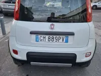 Usata Fiat Panda 4x4 Wild 86 CV (63 kW) 2023 Bianco perla Utilitaria