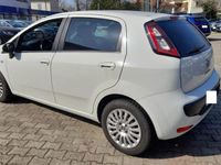 usata Fiat Punto Evo 1.2 5 porte Dynamic