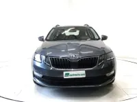 Usata Skoda Octavia Executive 116 CV (85 kW) 2019 Grigio Station wagon