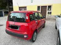 Usata Fiat Panda Easy 69 CV (50 kW) 2018 Rosso Utilitaria
