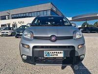Usata Fiat Panda 4x4 S 95 CV (69 kW) 2017 Argento Utilitaria