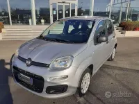 Usata Fiat Panda Easy 69 CV (50 kW) 2018 Argento Utilitaria