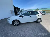 Usata Fiat Punto Young 75 CV (55 kW) 2014 Bianco Utilitaria