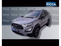 usata Ford Ecosport Active