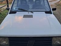 Usata Fiat Panda 4x4 Trekking 54 CV (39 kW) 1999 Utilitaria